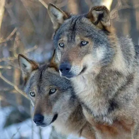 Casa Pie' Di Monte *