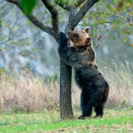 Casa Pie' Di Monte Willa