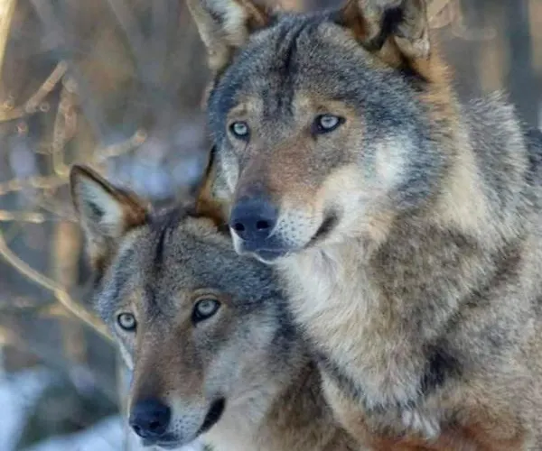 Casa Pie' Di Monte *