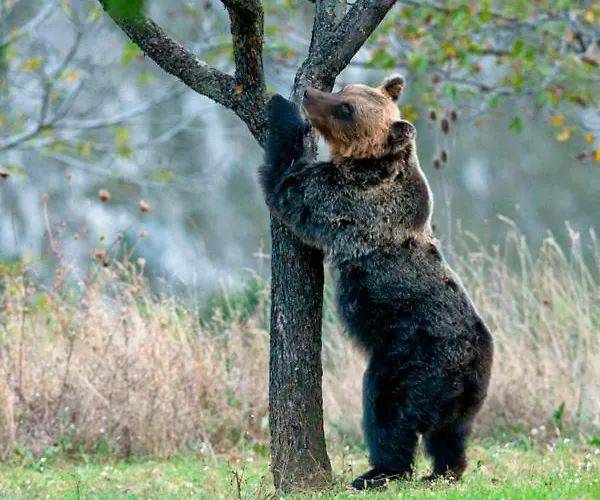 Casa Pie' Di Monte Вилла