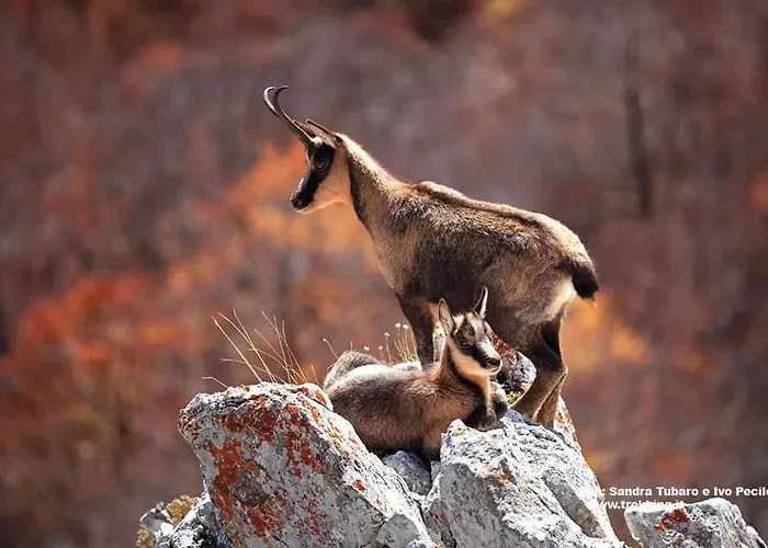 Villa Casa Pie' Di Monte